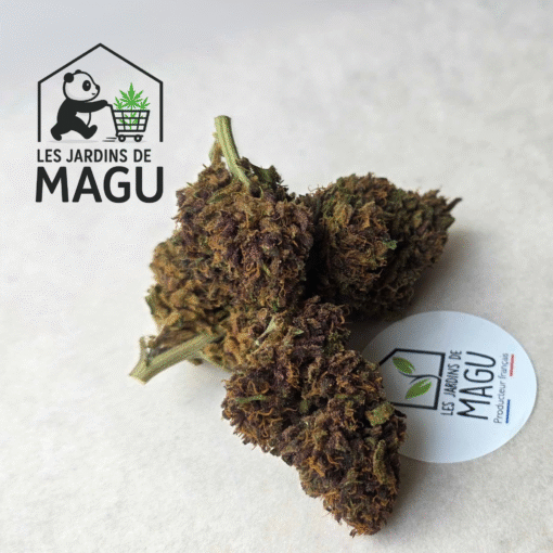 🇨🇵 Les Jardins de MaGu – Purple Bio – Image 3