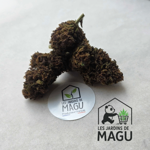 🇨🇵 Les Jardins de MaGu – Purple Bio – Image 4
