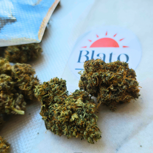 🇨🇵 Blato – Rainbow Sherbet🌈 – Image 3