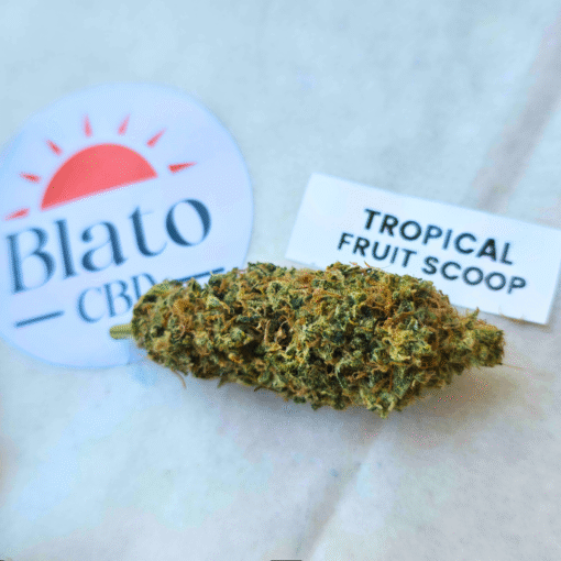 🇨🇵 Blato – Tropical Fruit Scoop🥭 – Image 3