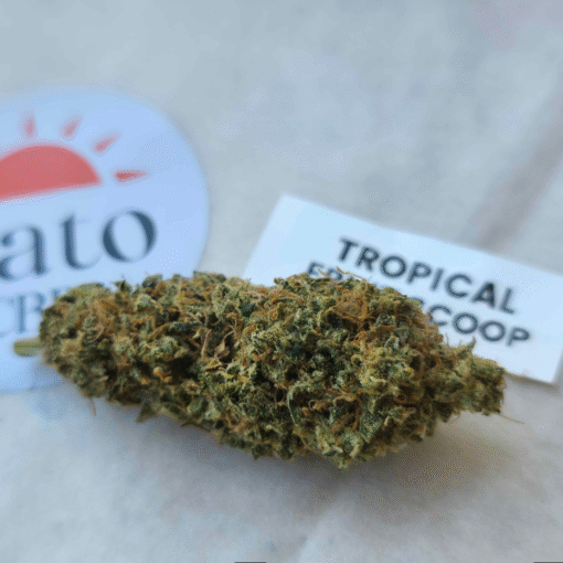🇨🇵 Blato – Tropical Fruit Scoop🥭 – Image 2