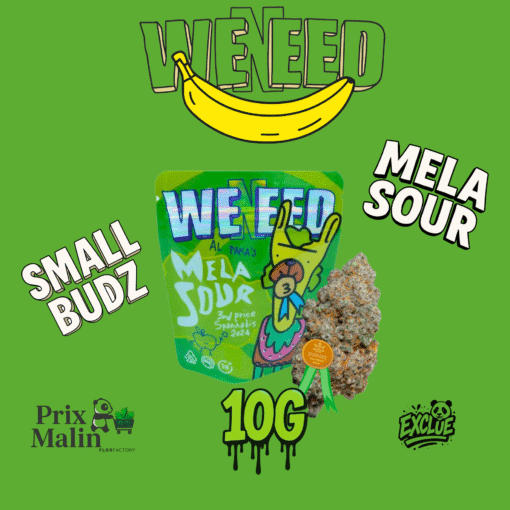 🇮🇹Weneed - Mela Sour Small 10g