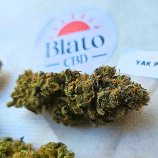 🇨🇵 Blato – Yak Pudding🍮 – Image 2